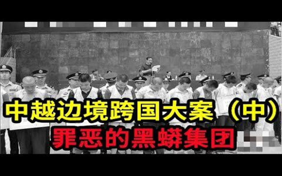 中越边境跨国大案(中),罪恶的黑蟒集团,女经理离奇死亡,共三集 | 大案要案纪实录 | 绝密档案哔哩哔哩bilibili