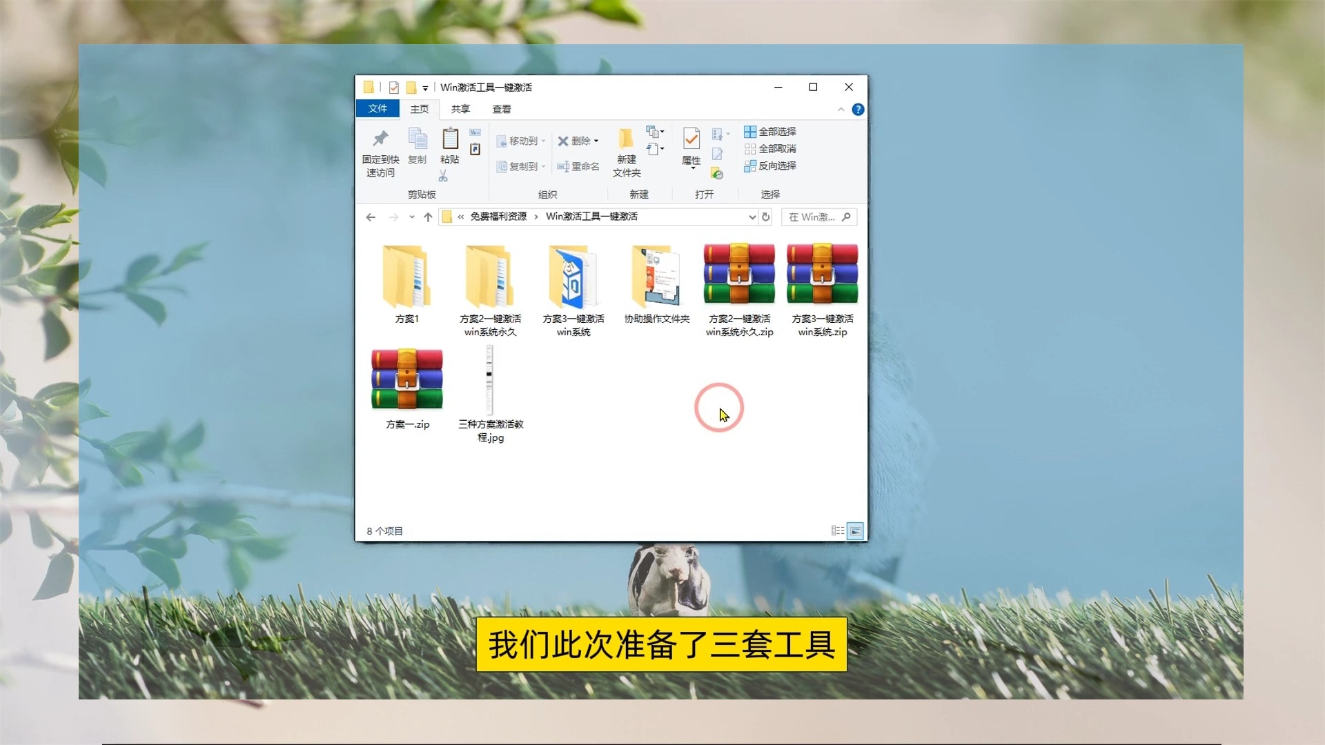 win10家庭版win11win7永久激活工具新手必看