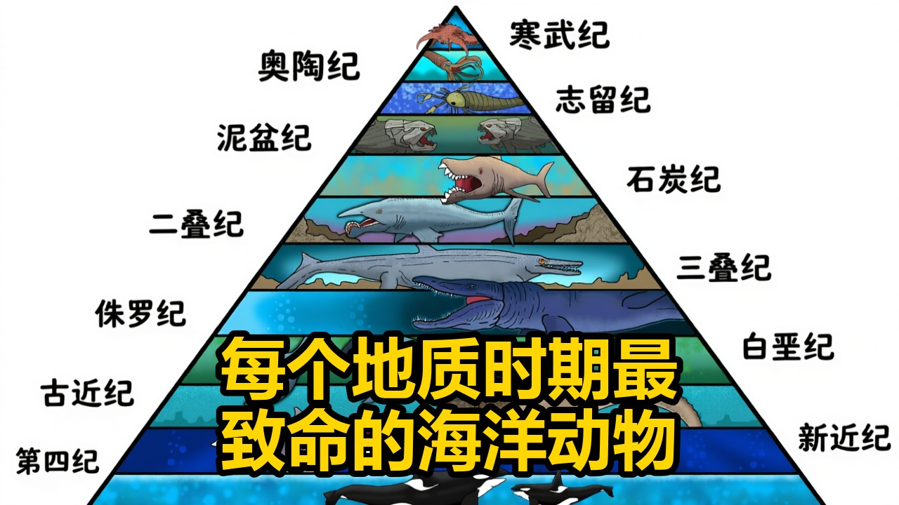 盘点每个地质时期最致命的海洋动物