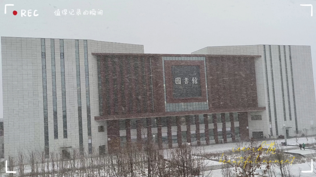 新疆大学图书馆 B站