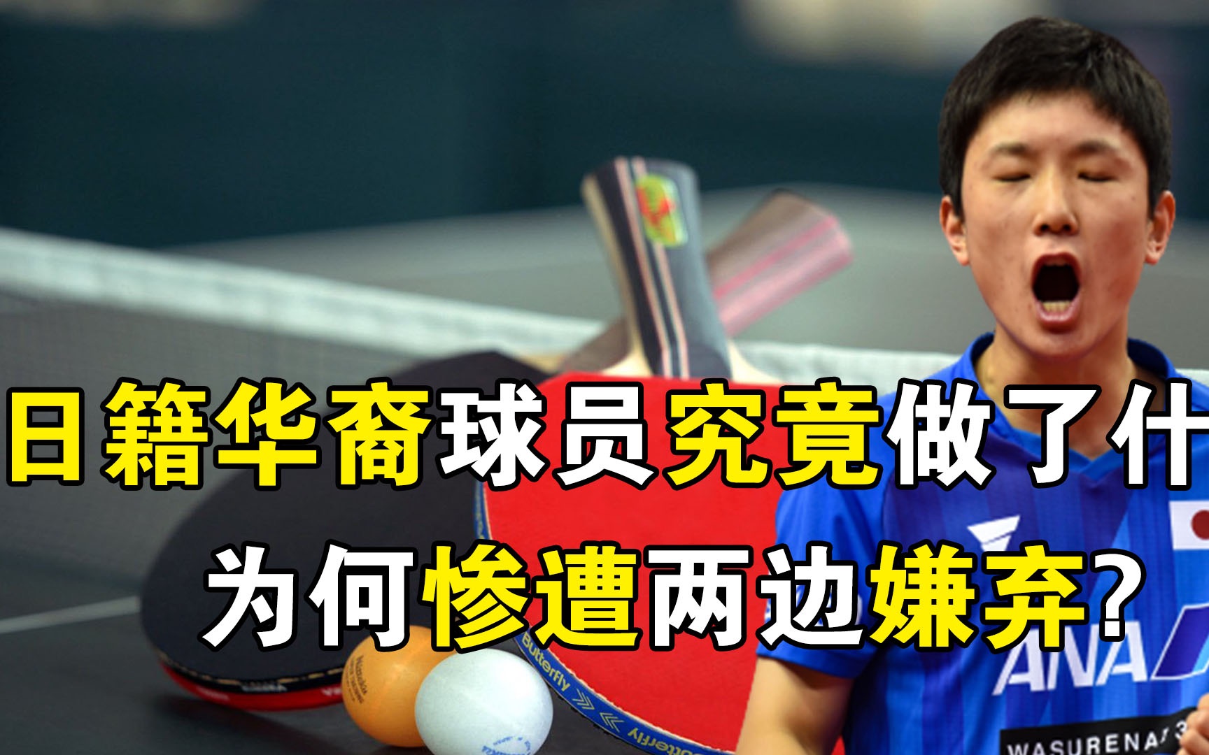 日籍张本智和父母身份大揭秘,他曾做过什么事?为何惨遭两边嫌弃哔哩哔哩bilibili