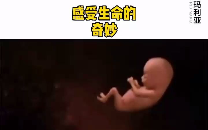 [图]感受下生命的奇妙吧，玛莉亚