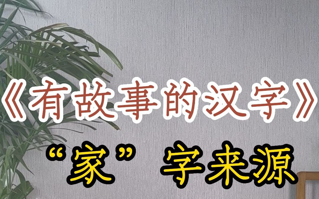 《有故事的汉字》“家”字来源哔哩哔哩bilibili