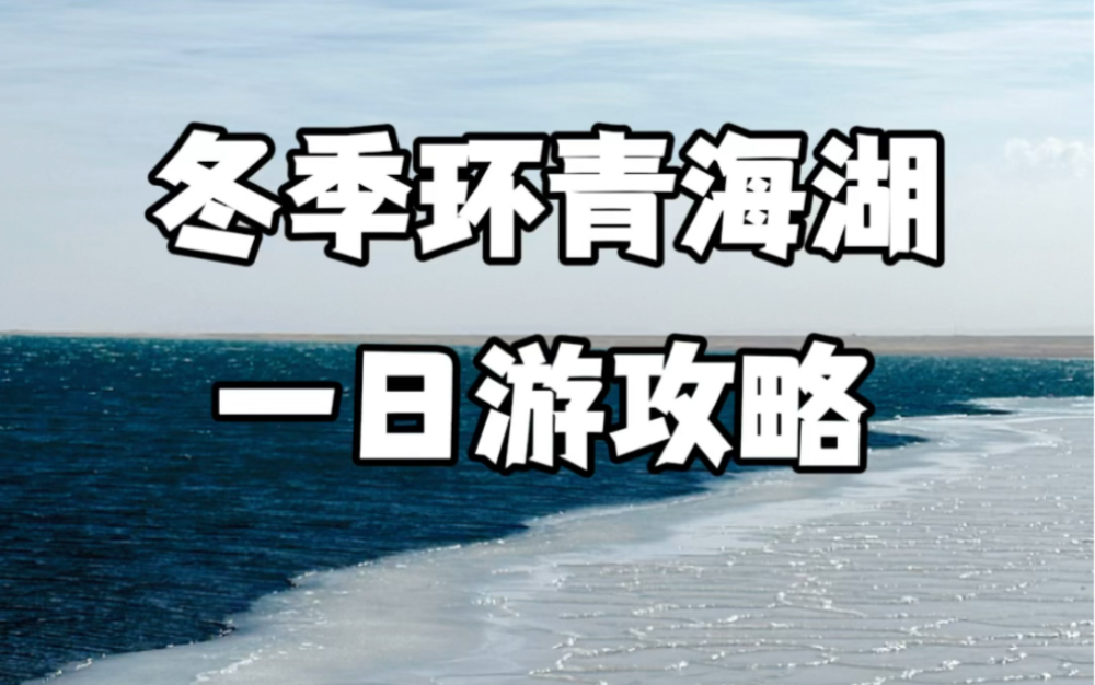 反季节旅游,冬季环青海湖一日游攻略!哔哩哔哩bilibili