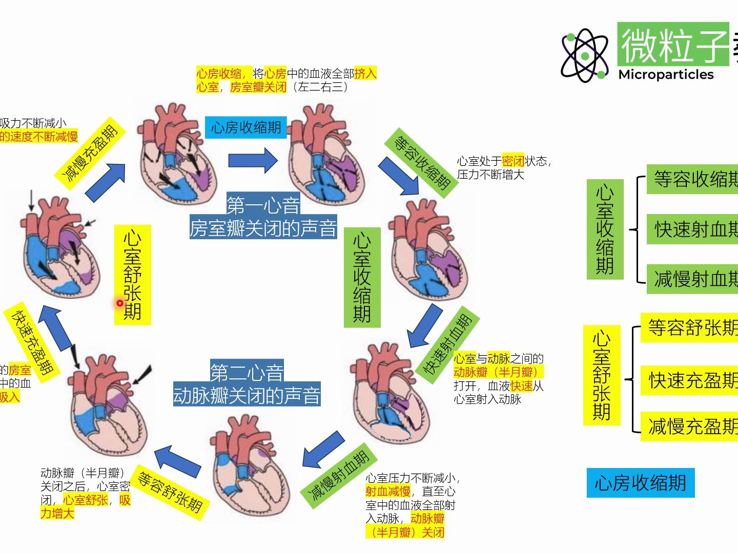 [图]心脏是怎么泵血的？这样的图片学兽医不简单才怪