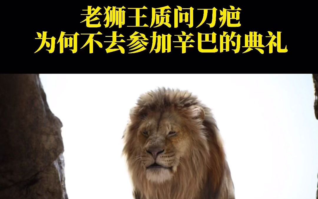 拓词每日听力23 The Lion King哔哩哔哩bilibili