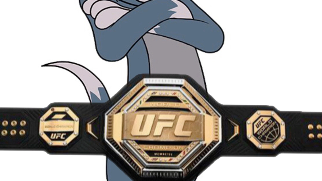 恭喜汤姆拿下ufc临时冠军