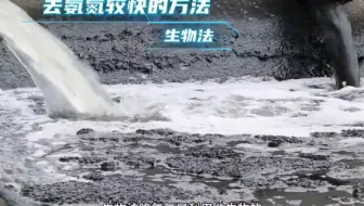 污水处理降氨氮较快方法#污水处理#絮凝剂#氨氮超标有哪些危害 #好氧菌#厌氧菌