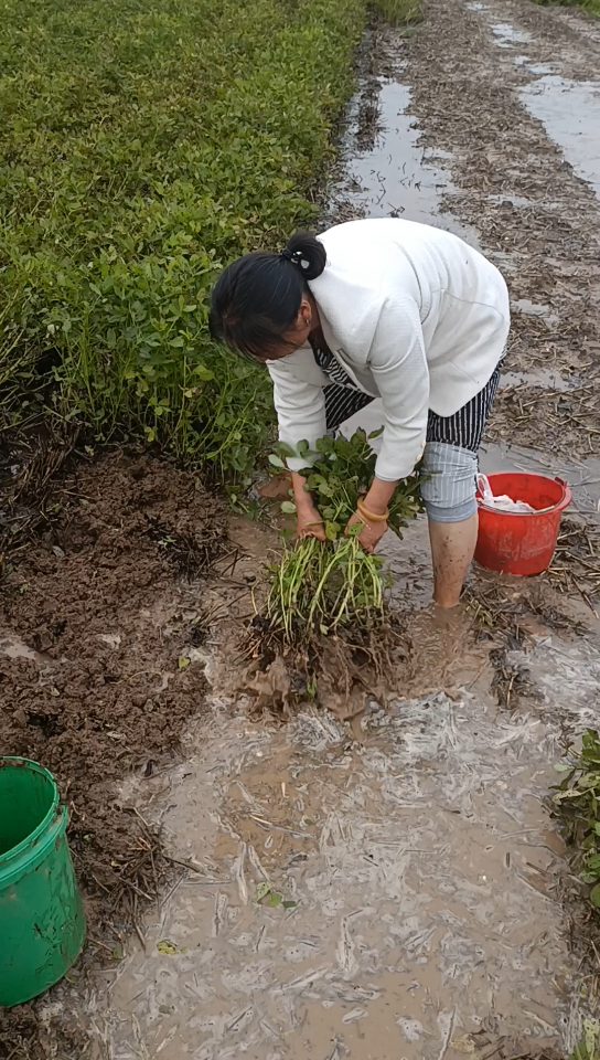花生终究是洗了洗澡!