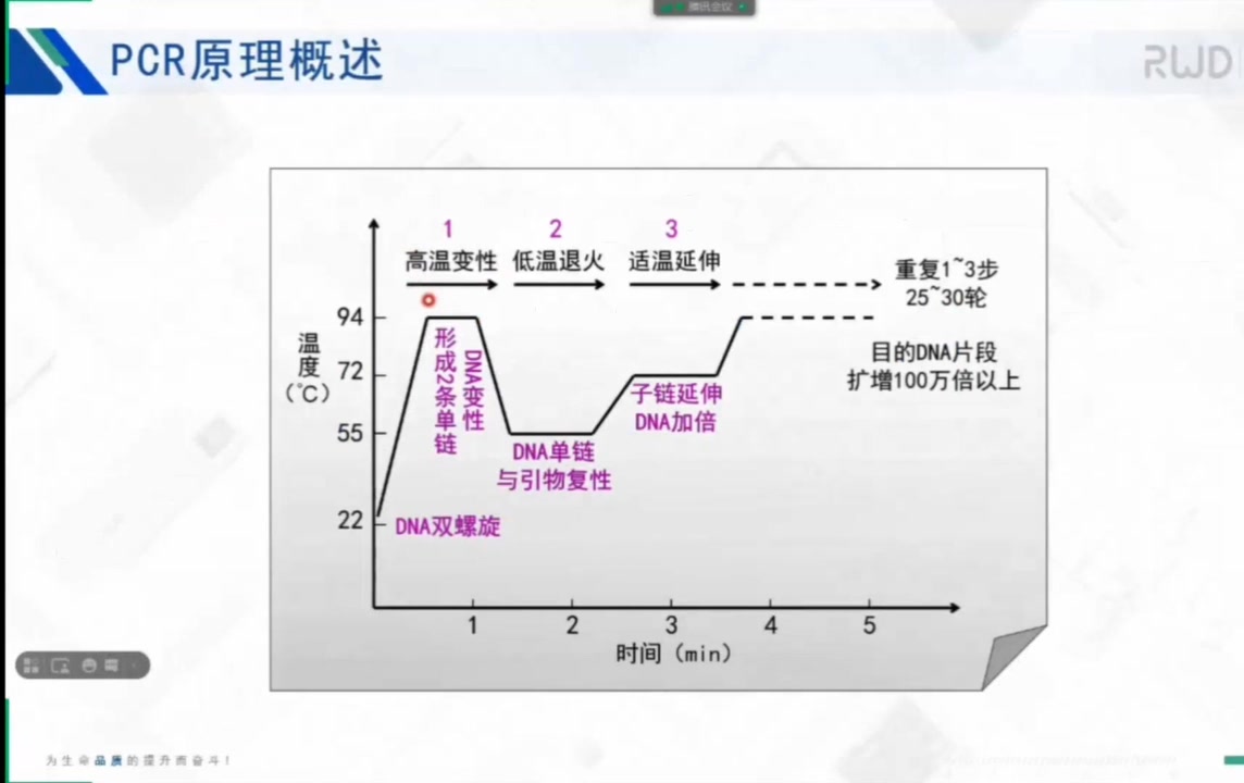 PCR技术哔哩哔哩bilibili