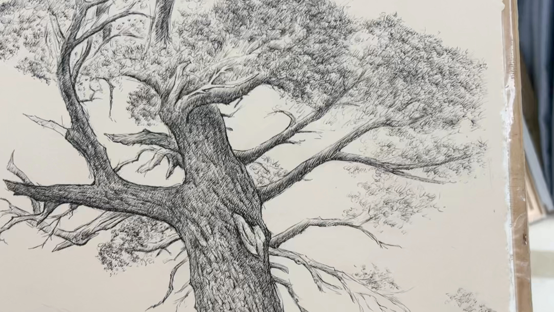 我的参天大树画好了半开的大作品!如果您喜欢就给点个赞呗!谢谢您嘞