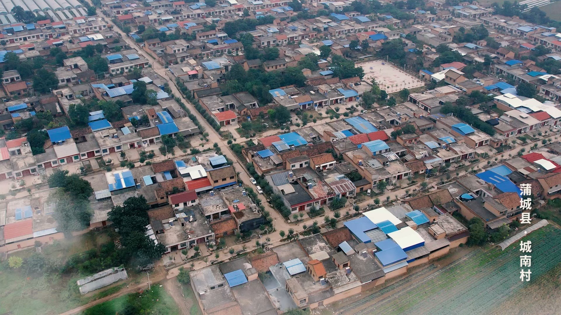 活动  蒲城县城南村航拍