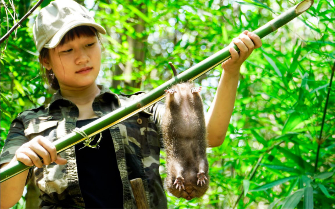 静姐雨林挑战,抓竹鼠!_哔哩哔哩_bilibili