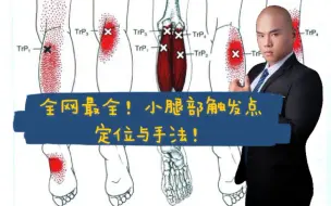 Download Video: 【手法触发点合集】小腿肌肉板机点（腘肌，腓肠肌，比目鱼肌，腓骨长肌，胫骨后肌，胫骨前肌）激痛点定位与发力技巧