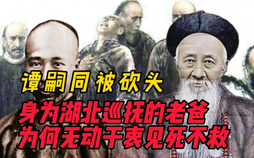 谭嗣同被砍头,为何身为湖北巡抚的老爸,无动于衷见死不救?哔哩哔哩bilibili