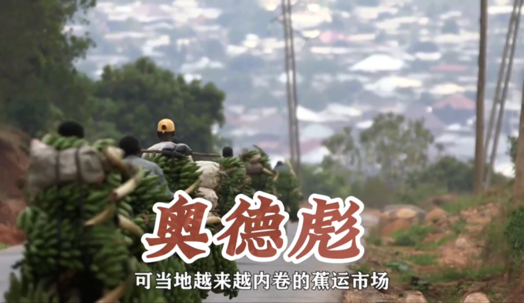 非洲布隆迪车神奥德彪最新后续!