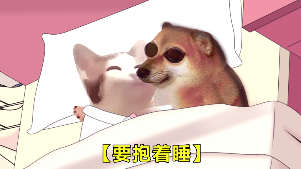 女生睡觉时的统一话术