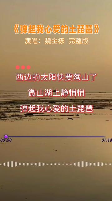 电影《铁道游击队》插曲《弹起我心爱的土琵琶》,演唱:魏金栋,永恒的