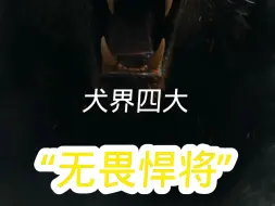 Download Video: 犬界四大“无畏悍将”个个凶猛无比