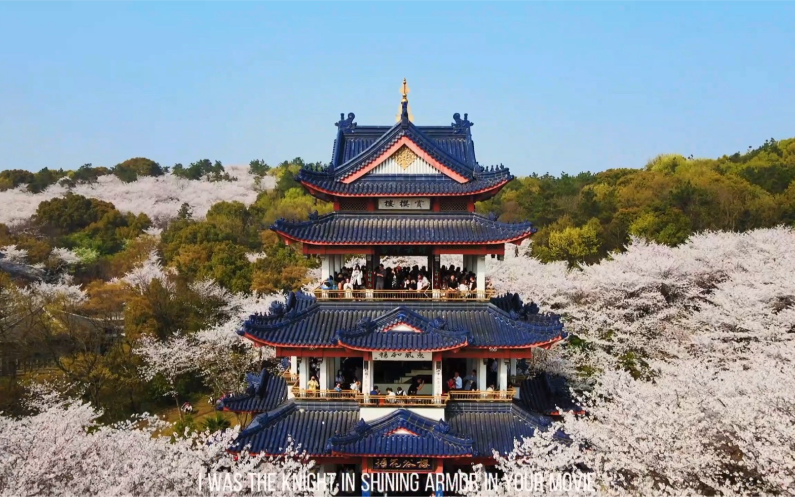 鼋头渚 . 赏樱楼