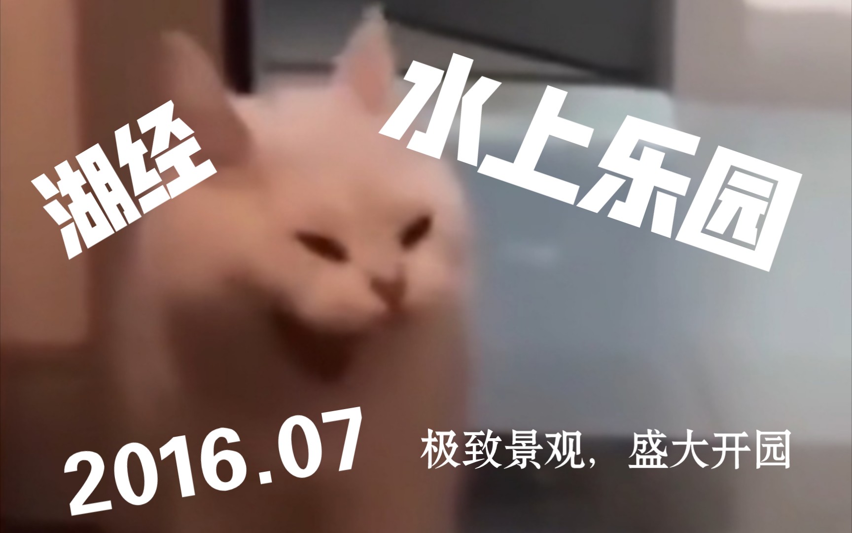 【生活片段】2016年7月,湖经水上乐园,正式开园哔哩哔哩bilibili