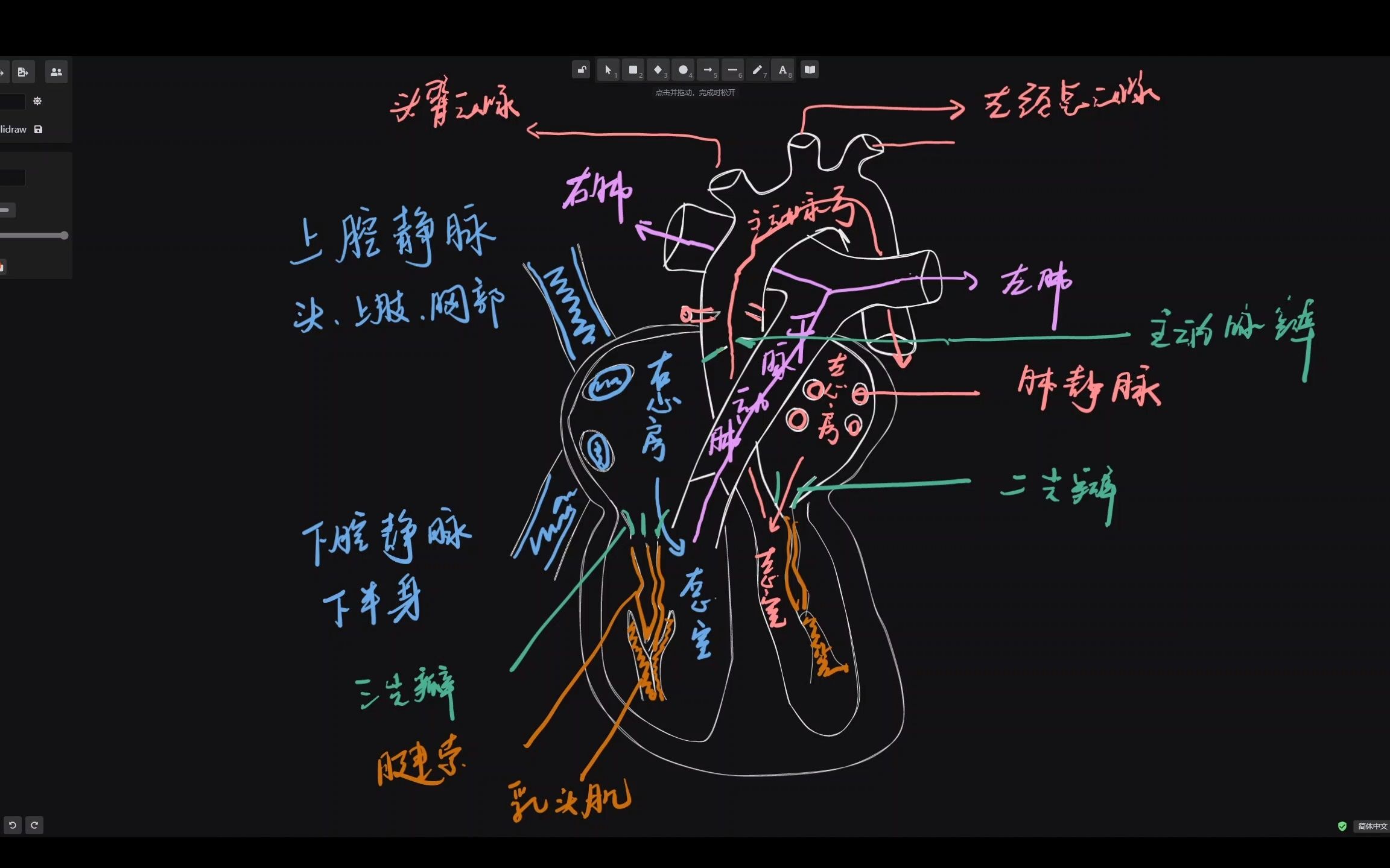 心脏的基本结构哔哩哔哩bilibili