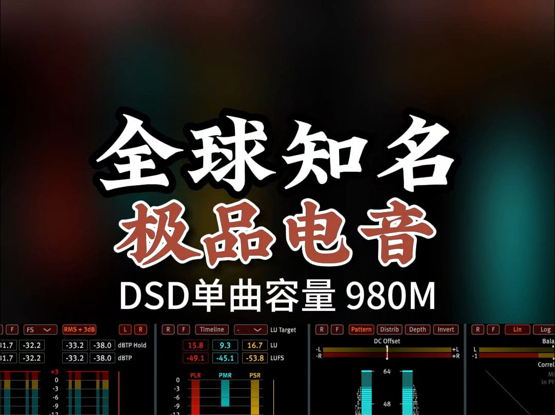 极品电音,全球知名,DSD完整版980M,百万调音师专业录音棚制作,顶级hifi无损音质哔哩哔哩bilibili