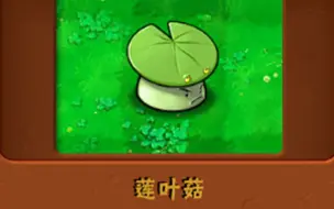 Download Video: 新植物：莲叶菇