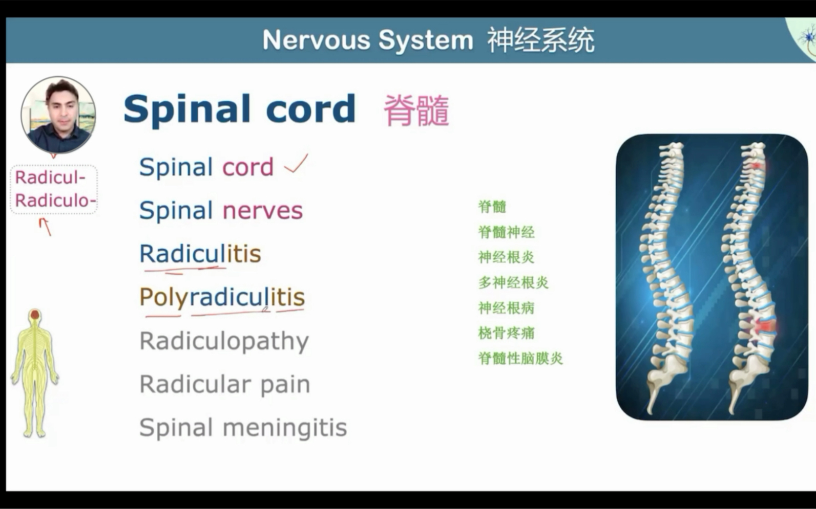 医学英语课程哔哩哔哩bilibili