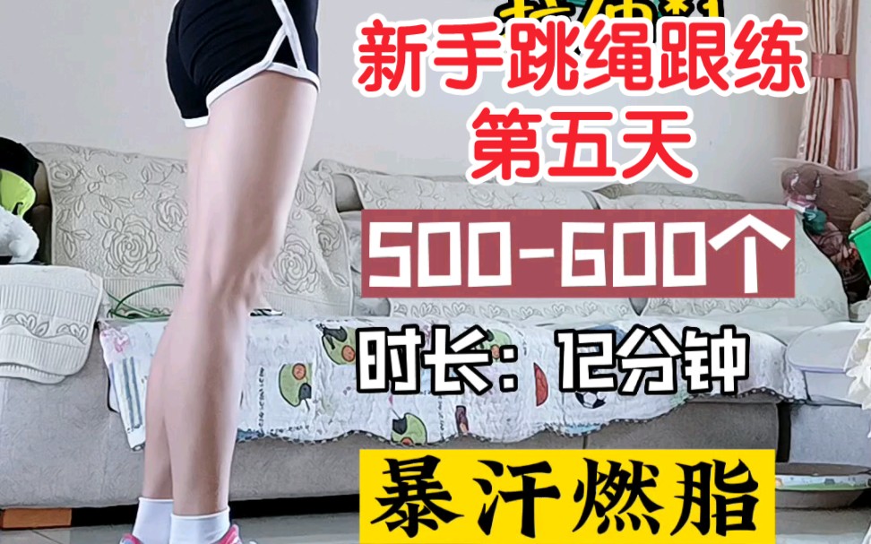 新手跳绳30天跟练|第五天|这天气500600个已经暴汗了,热身跳绳拉伸一个流程下来12分钟左右,你坚持几天了呢?哔哩哔哩bilibili