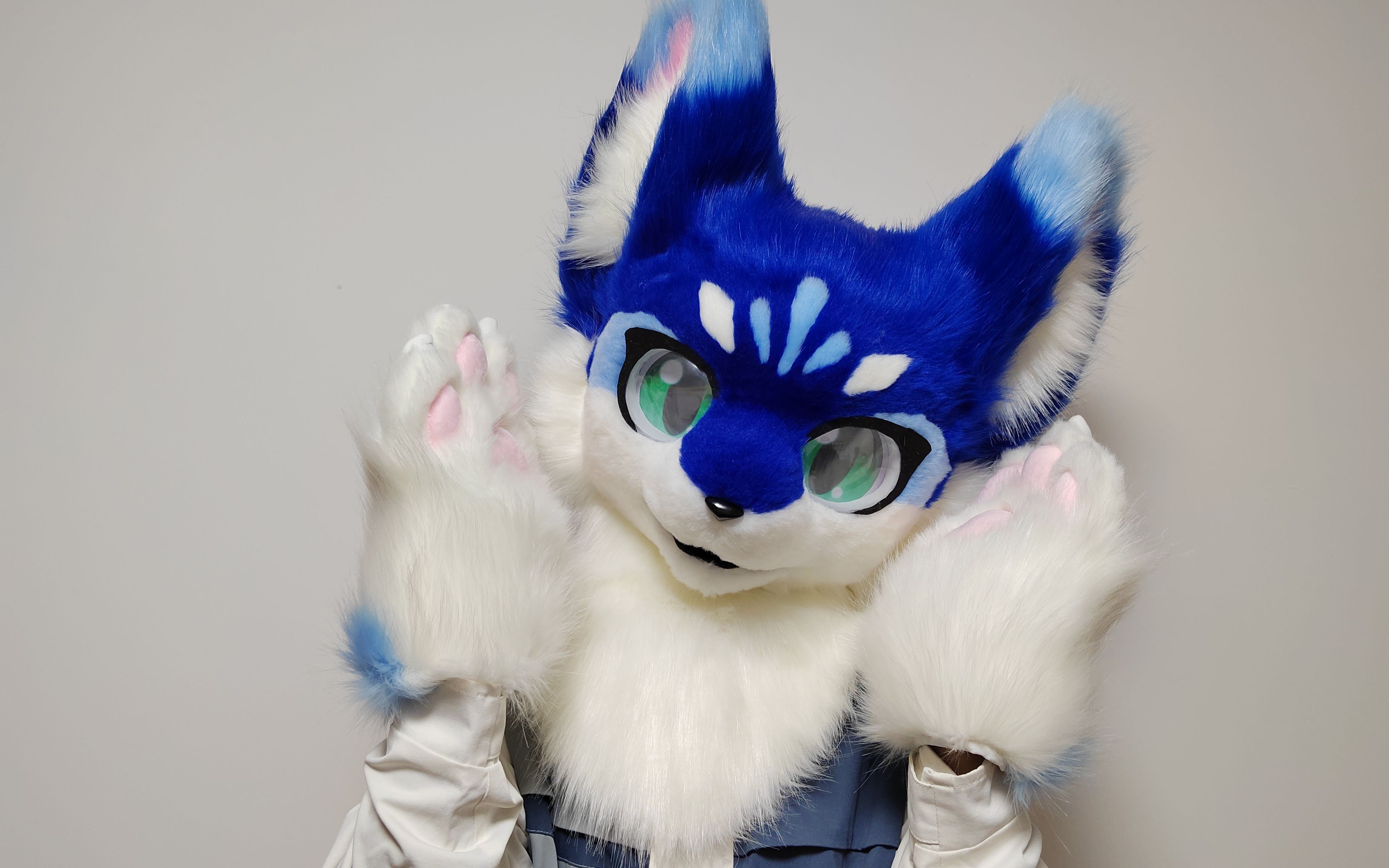 【兽装展示】也许是蓝莓味的兽兽?