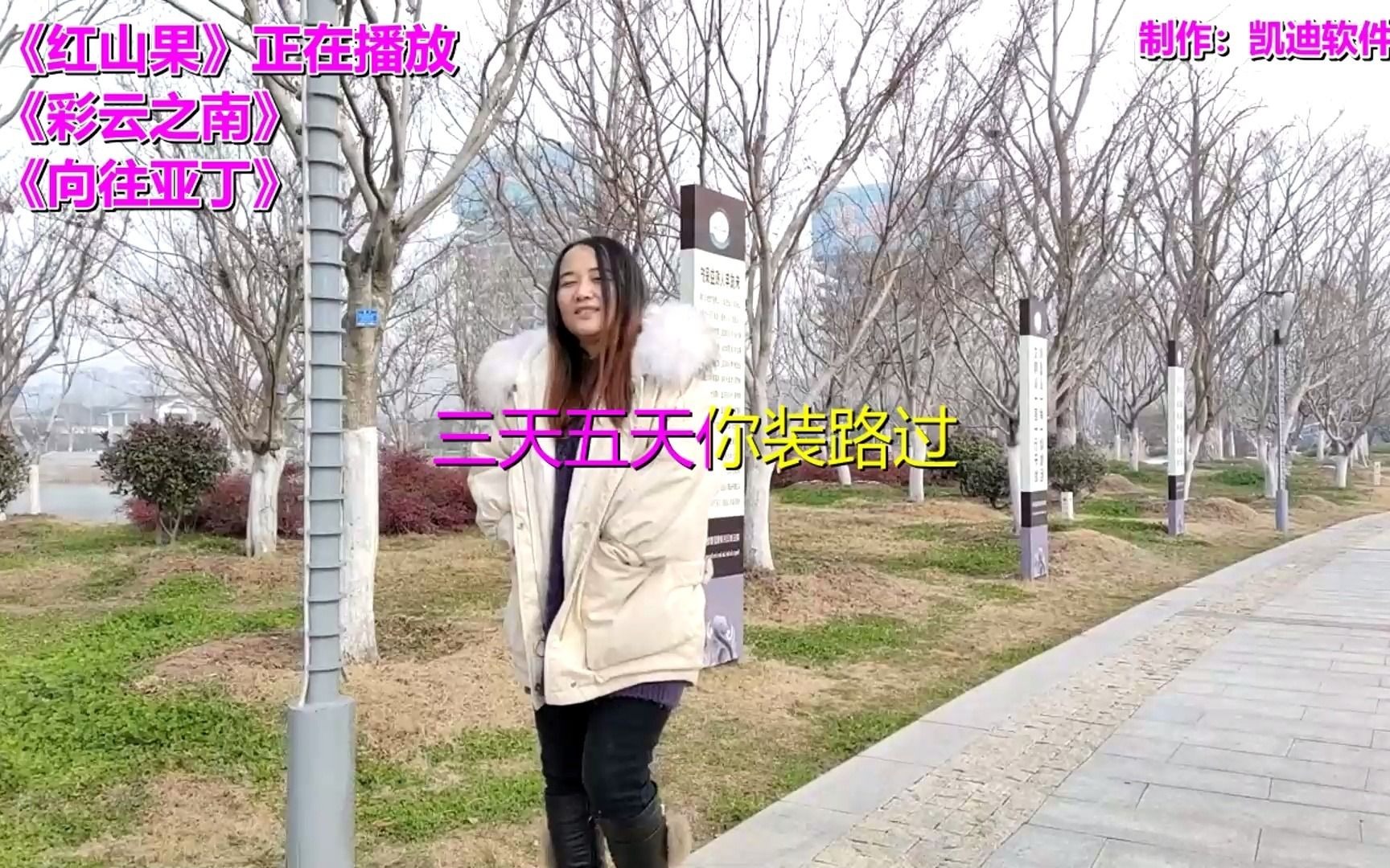 [图]《红山果》《彩云之南》《向往亚丁》，mv经典好歌连播