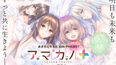 あざらしソフト アマカノ 高社紗雪&上林聖&星川こはる B4色紙