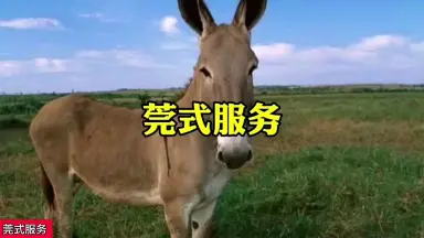 辉美女㊄④❶⑦葳❺⑧①❾莞式学生uo-哔哩哔哩_Bilibili