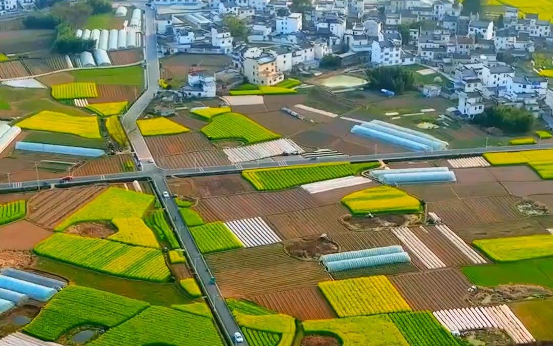 【寻美徽州ⷦ˜壀‘雨足郊原正得晴,地绵万里尽春耕!来源:市广电台 刘学禹哔哩哔哩bilibili