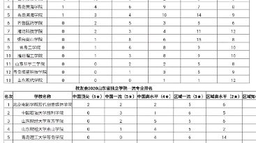 山东省民办大学一流专业排名与独立院校一流专业排名哔哩哔哩bilibili