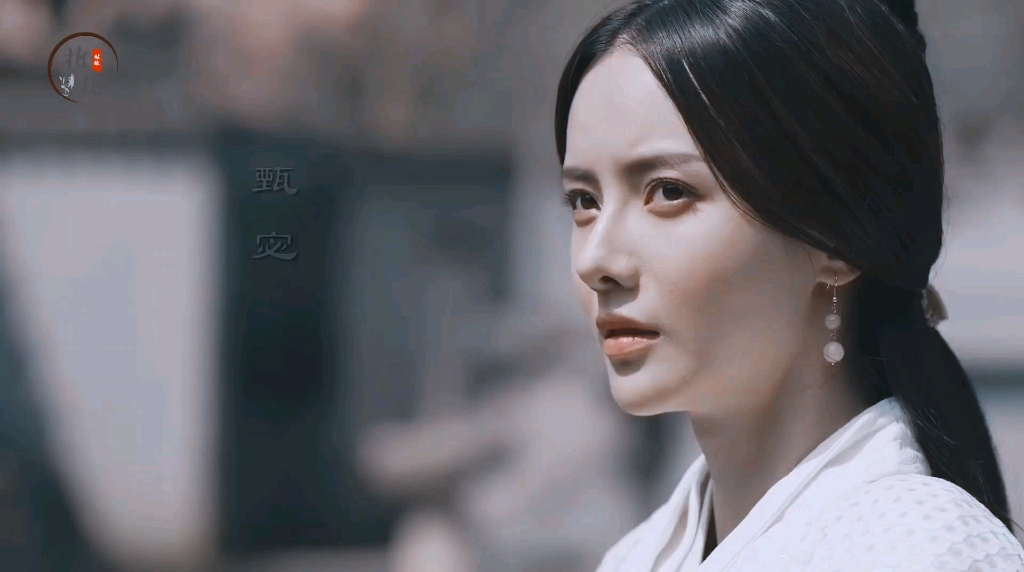 甄宓张芷溪众口铄黄金使君生别离