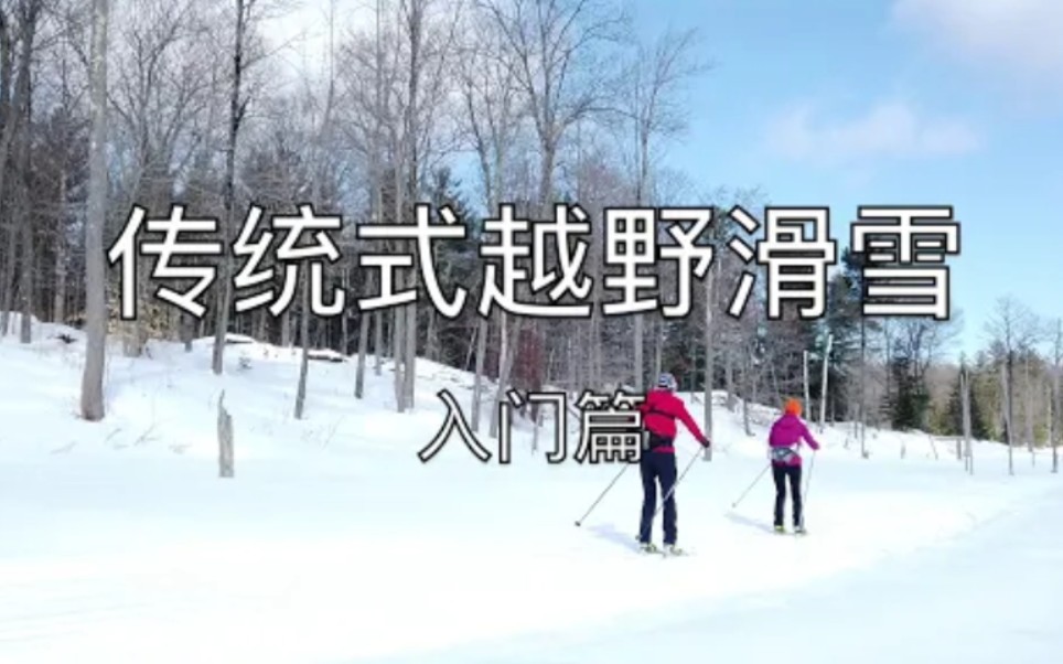 学习传统式越野滑雪入门篇,掌握这几个基本动作,驰骋林海雪原哔哩哔哩bilibili