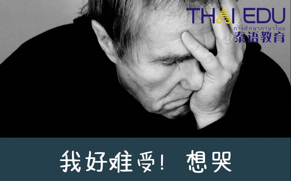 潭州泰语我好难受香菇一学就会的简单泰语