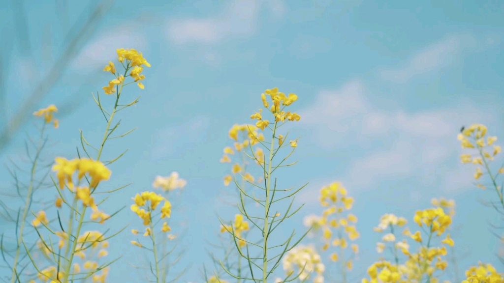 [图]人是叫不醒的，只有痛醒