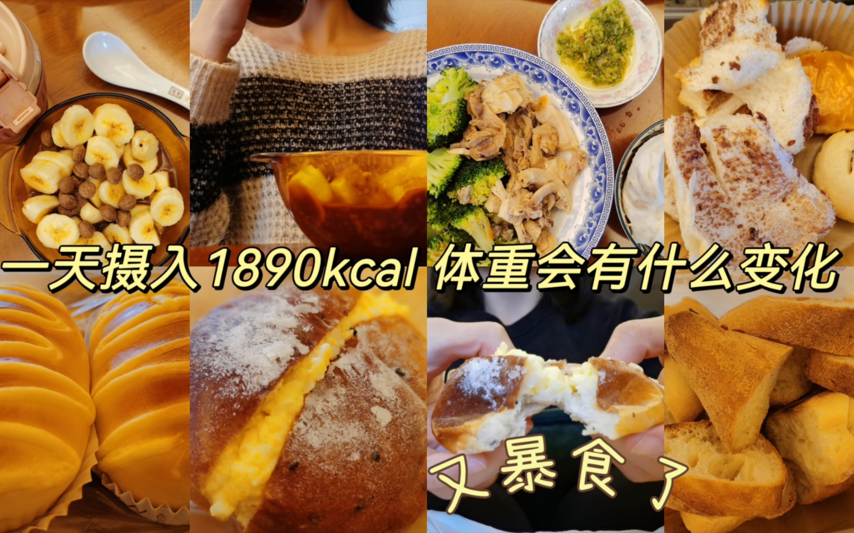 一天摄入1890kcal 体重会有什么变化哔哩哔哩bilibili