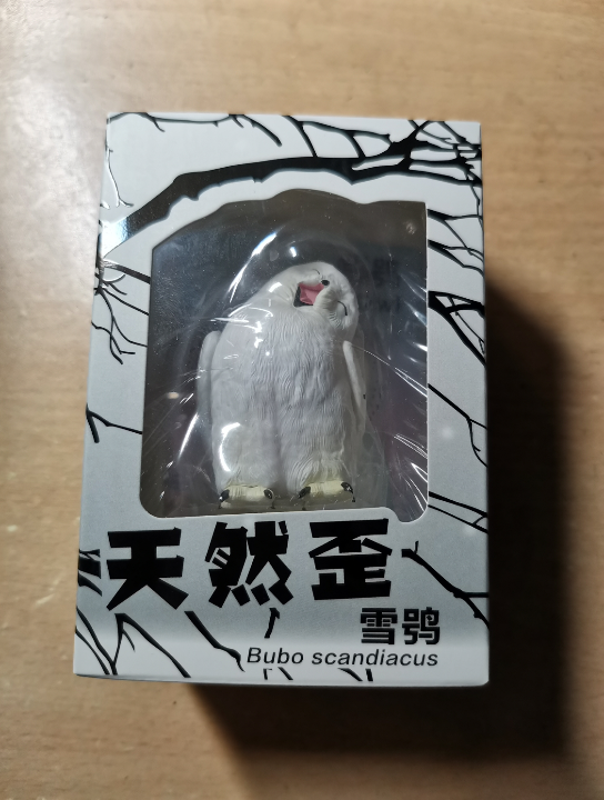 活動作品沒買到小亮老師同款藏狐但是買到了雪 