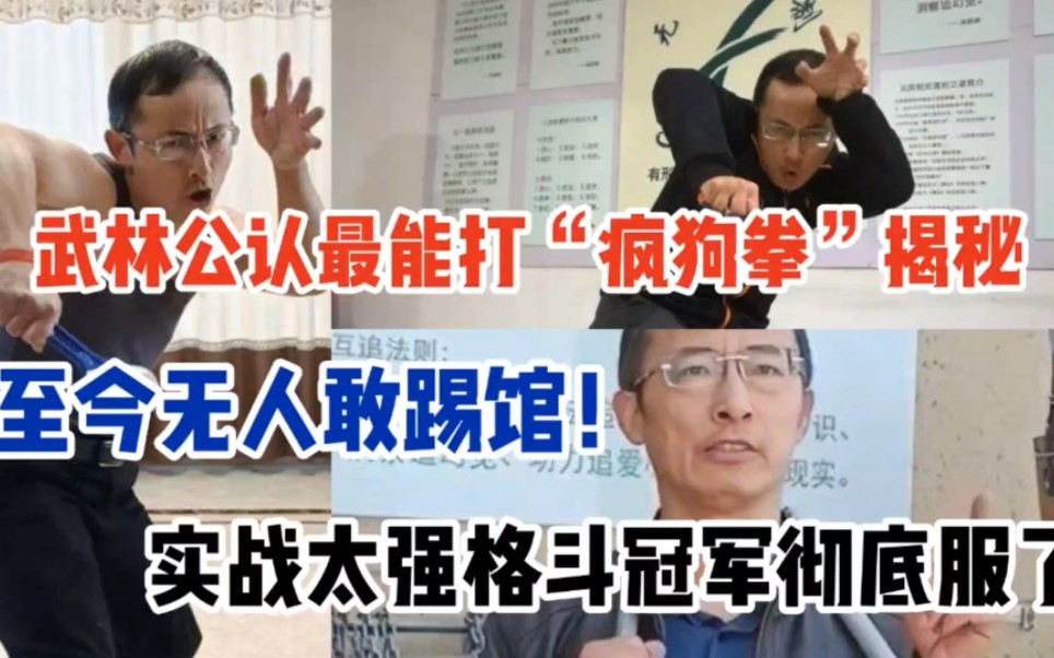 武林公认最能打“疯狗拳”揭秘 实战太强格斗冠军彻底服了！至今无人敢踢馆！-格斗半仙-格斗半仙-哔哩哔哩视频