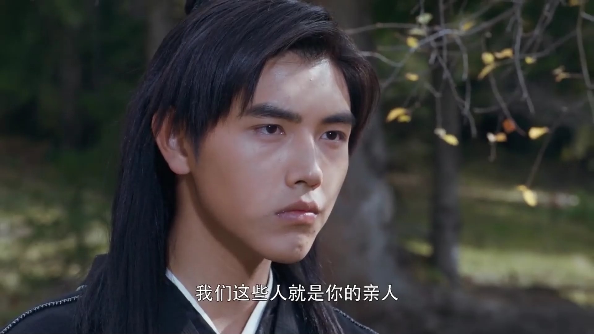 宁缺忍痛将字刻在手上,成功通过柴门,颜瑟大师欲对二先生君陌出手