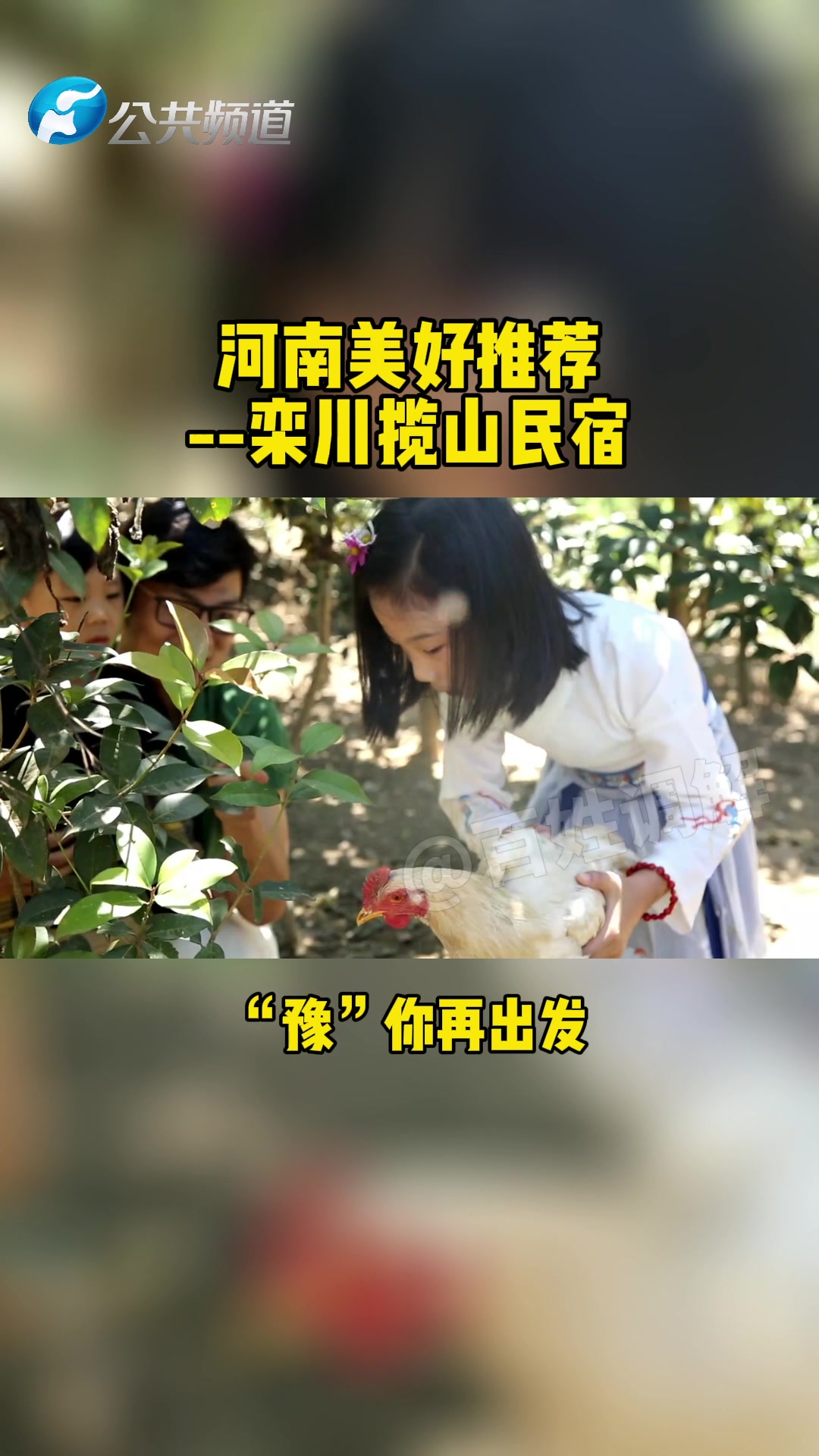 河南美好推荐:栾川蓝山民宿#2021年最后一个假期哔哩哔哩bilibili