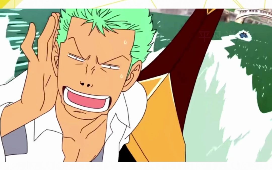 索隆的沙雕搞笑时刻,路飞:爆烧绿藻头