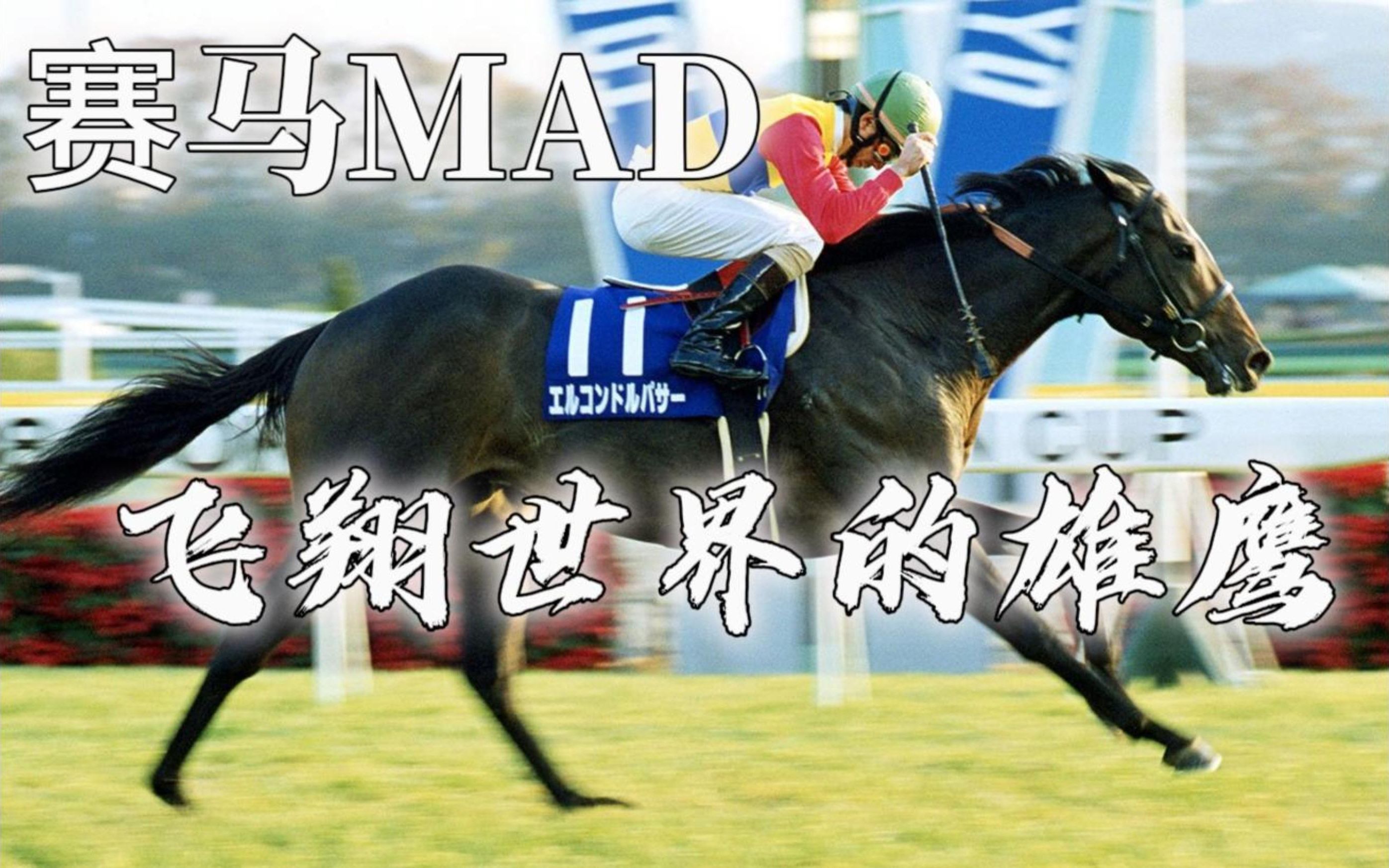 [图]【赛马/MAD】飞翔世界，各路英豪尽俯首；冠世一战，黄金世代我最强/神鹰竞赛生涯合集