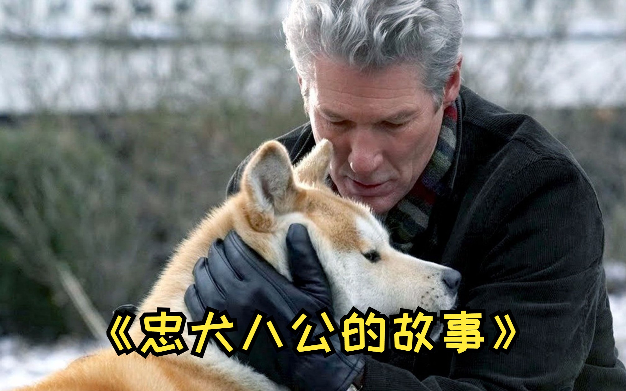 《忠犬八公》完整版,一个让无数猛男落泪的真实故事哔哩哔哩bilibili