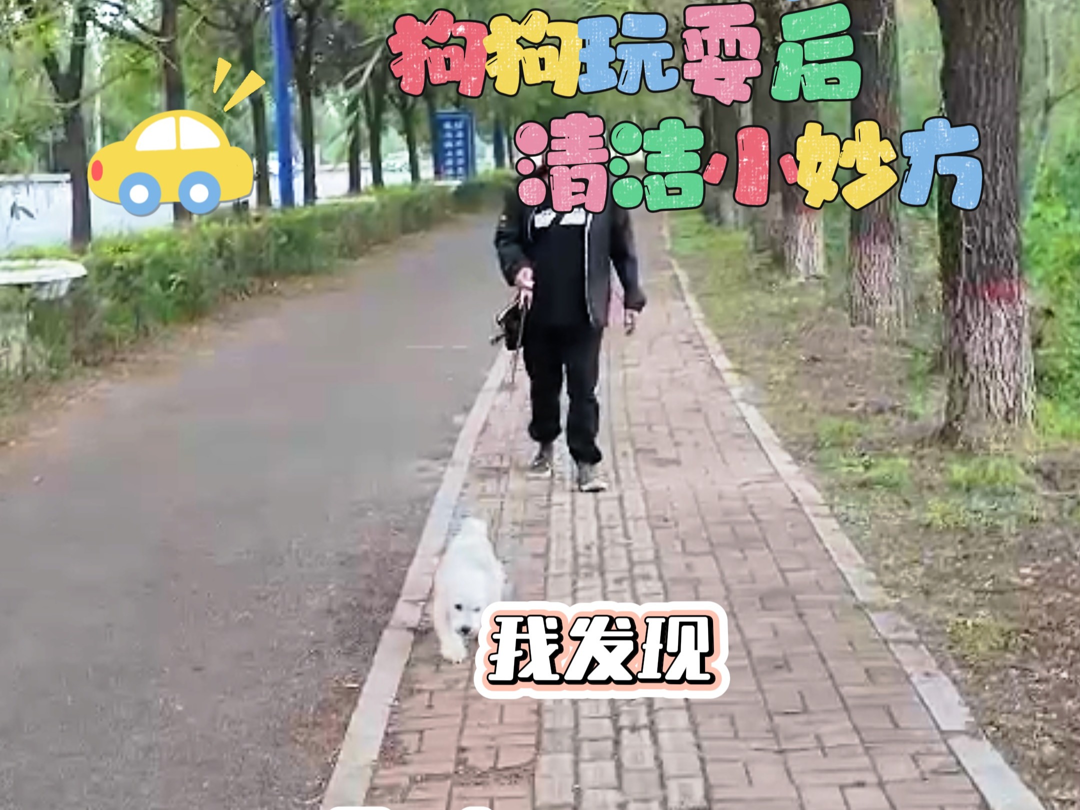 狗狗玩耍后的清洁小妙方哔哩哔哩bilibili