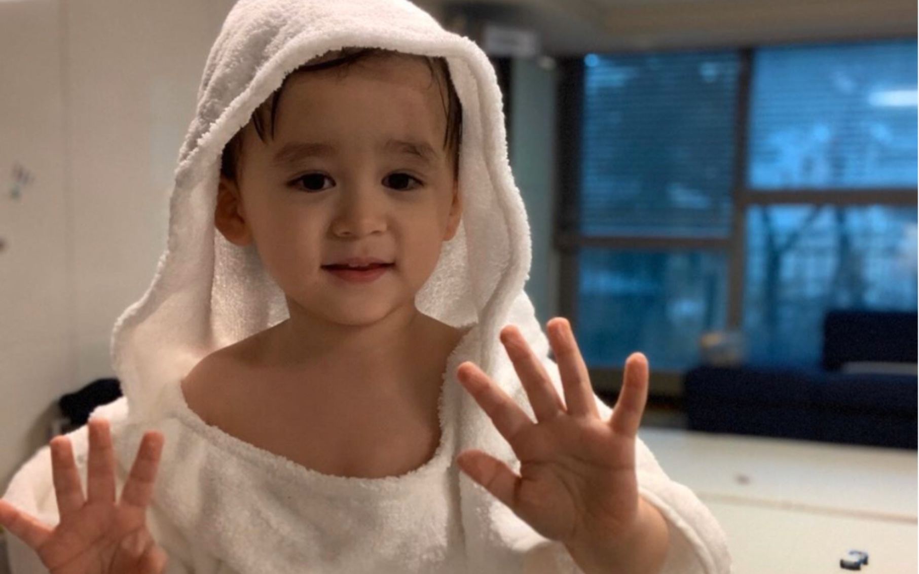 本特利ins更新【吃蒲公英】